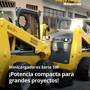 MINICARGADORES SERIE SW