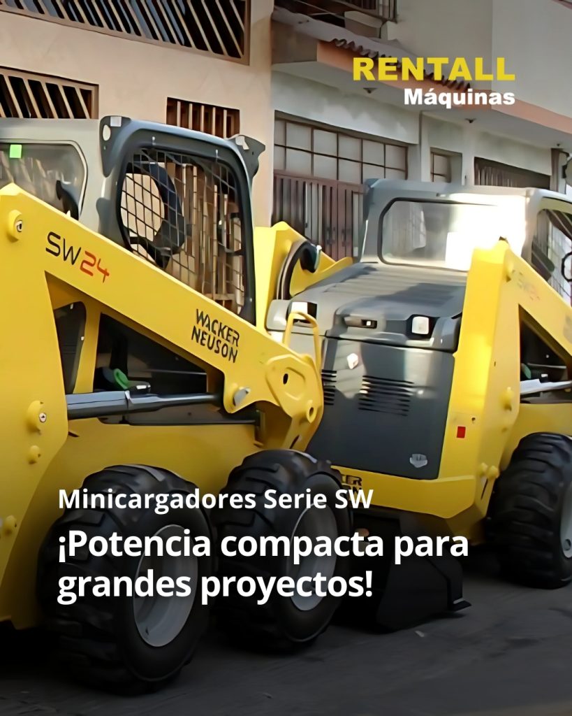 MINICARGADORES SERIE SW
